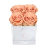Classic Infinity Rosebox | Perfect Peach | XS -Emmie Gray Store EMMIEGRAY XMRS CLASSIC INFINITY PERFECTPEACH 1280x1280
