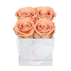 Classic Infinity Rosebox | Perfect Peach | XS