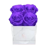 Classic Infinity Rosebox | Violet Vain | XS -Emmie Gray Store EMMIEGRAY XMRS CLASSIC INFINITY VIOLETVAINny6s7ePY0Xk16 1280x1280