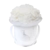 Splendid Carnation Infinity Rosebox | Pure White | XS 2 Splendid Carnation Infinity Rosebox | Pure White | XS -Emmie Gray Store EMMIEGRAY XMSR SPLENDIDCARNATION INFINITY PUREWHITE 1280x1280