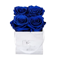 Classic Infinity Rosebox | Ocean Blue | XS