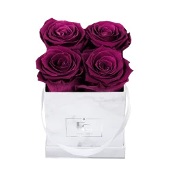 Classic Infinity Rosebox | Velvet Plum | XS