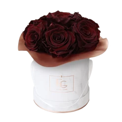 Splendid Infinity Rosebox | Burgundy | XS
