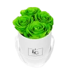 Classic Infinity Rosebox | Green Glow | XS