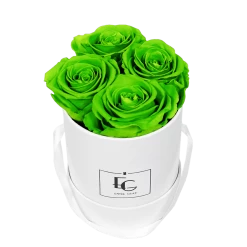 Classic Infinity Rosebox | Green Glow | XS