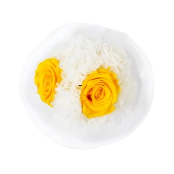 Splendid Carnation Mix Infinity Rosebox | Sunny Yellow & Pure White | XS -Emmie Gray Store EMMIEGRAY XWR SPLENDID CARNATION MIX INFINITY SunnyYellow PureWhite Top 1280x1280