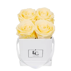 Classic Infinity Rosebox | Champagne | XS