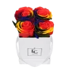 Classic Infinity Rosebox | Rainbow | XS