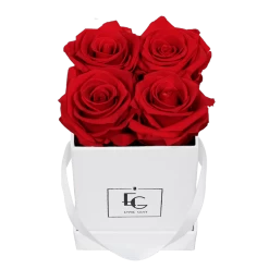 Classic Infinity Rosebox | Vibrant Red | XS