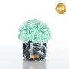 Premium Marble Metallic Infinity | Minty Green | S -Emmie Gray Store Emmie Gray Premium Marble Metallic Black S mintygreen button 1280x1280