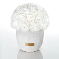 Premium Solid Vase | Ecru | L -Emmie Gray Store Emmie Gray Solid Infinity L Pure White 1280x1280 1