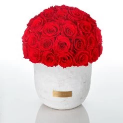 Premium Solid Vase | Ecru | L -Emmie Gray Store Emmie Gray Solid Infinity L Vibrant Red 1280x1280 1