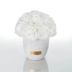 Premium Solid Vase | Ecru | S -Emmie Gray Store Emmie Gray Solid Infinity S Pure White 1280x1280