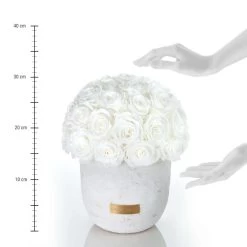 Premium Solid Splendid Infinity | Minty Green | L 7 Premium Solid Splendid Infinity | Minty Green | L -Emmie Gray Store EmmieGray Solid L purewhite 1280x1280 1