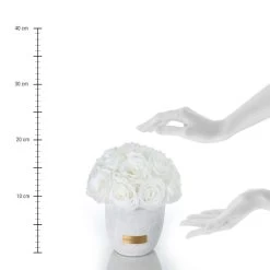 Premium Solid Splendid Infinity | Silver | S -Emmie Gray Store EmmieGray Solid S Purewhite 1280x1280 1