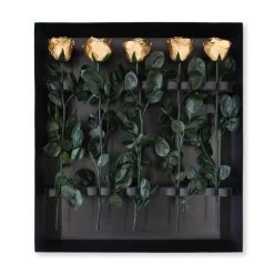 Long Stem Infinity Rose | Gold | 5 Roses -Emmie Gray Store Gold 5er Packung ganz offen 1280x1280 2