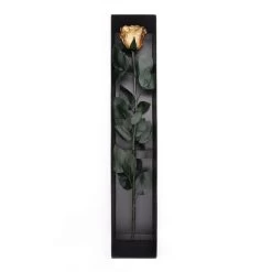 Long Stem Infinity Rose | Gold | 1 Rose -Emmie Gray Store Gold ganz offen 1280x1280