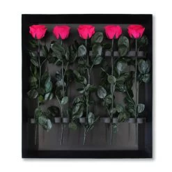 Classic Vase Set | Hot Pink | 15 ROSES -Emmie Gray Store Hotpink grosser karton offen 1280x1280 4