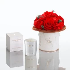 Hydrangea Luxury Set