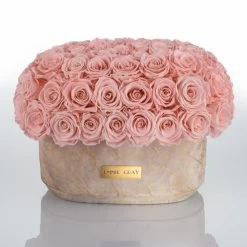 Emmie Gray Store 22 Premium Solid Splendid Infinity | Antique Pink | L