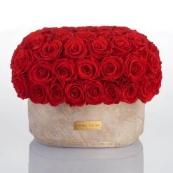 Premium Solid Vase | Golden Sand | L -Emmie Gray Store M Sol oval sand Vibrantred mitbutton 1280x1280 2