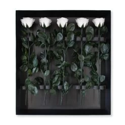 Classic Vase Set | Pure White | 10 ROSES -Emmie Gray Store Pure White grosser karton offen 1280x1280 2