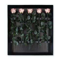 Long Stem Infinity Rose | Rose Gold | 5 Roses -Emmie Gray Store Rose 5er packung ganz offen 1280x1280 3