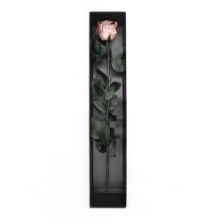 Long Stem Infinity Rose | Rose Gold | 1 Rose -Emmie Gray Store Rose ganz offenZJFDgRS2eKxPi 1280x1280
