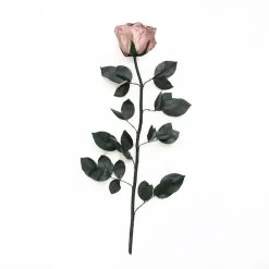 Classic Vase Set | Rose Gold | 10 ROSES -Emmie Gray Store Rose ohne Karton 1280x1280 3