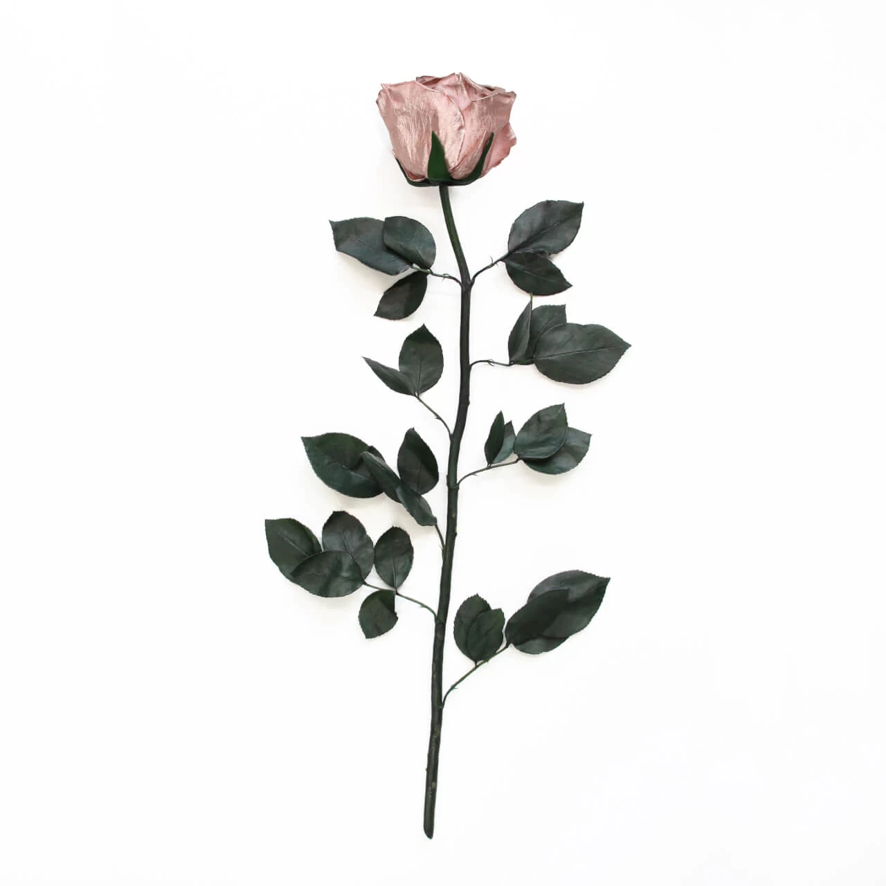 Long Stem Infinity Rose | Rose Gold | 5 Roses 4 Long Stem Infinity Rose | Rose Gold | 5 Roses – Bild 2