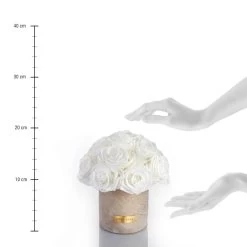 Premium Solid Splendid Infinity | Pure White | S -Emmie Gray Store S Solid Sand Lineal Purewhite 1280x1280 10