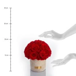 Premium Solid Splendid Infinity | Vibrant Red | S -Emmie Gray Store S Solid Sand Lineal Red 1280x1280