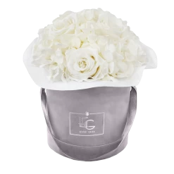 Splendid Hydrangea Infinity Rosebox | Pure White | S