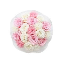 Splendid Carnation Mix Infinity Rosebox | Bridal Pink & Pure White | S -Emmie Gray Store SGR Splendid Carnation Mix PureWhiteBridalPink Top 1280x1280
