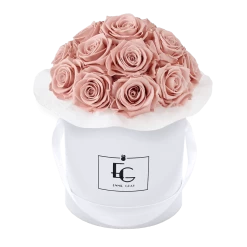 Splendid Infinity Rosebox | Antique Pink | S