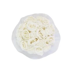 Splendid Carnation Infinity Rosebox | Pure White | S -Emmie Gray Store SWR Splendid Carnation PureWhite Top 1280x1280