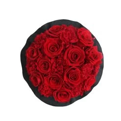 Splendid Carnation Infinity Rosebox | Vibrant Red | S -Emmie Gray Store SWR Splendid Carnation VibrantRed Top 1280x1280