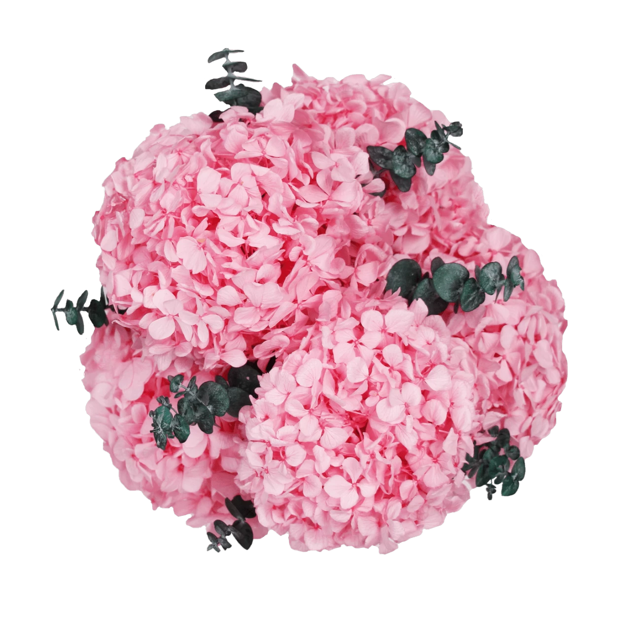 Signature Hydrangea Infinity Rosebox | Bridal Pink | S 4 Signature Hydrangea Infinity Rosebox | Bridal Pink | S – Bild 2