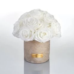 Premium Solid Splendid Infinity | Pure White | S