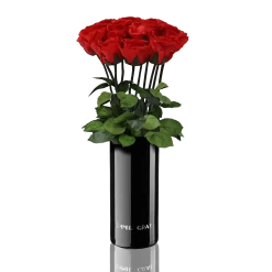 Classic Vase Set | Vibrant Red | 10 ROSES
