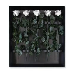 Long Stem Infinity Rose | Silver | 5 Roses 8 Long Stem Infinity Rose | Silver | 5 Roses -Emmie Gray Store Silber 5er packung hanz offen 1280x1280 1