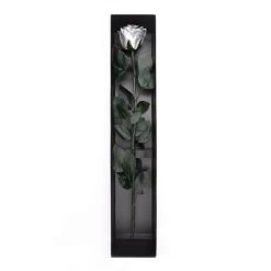 Long Stem Infinity Rose | Silver | 1 Rose -Emmie Gray Store Silber ganz offen 1280x1280