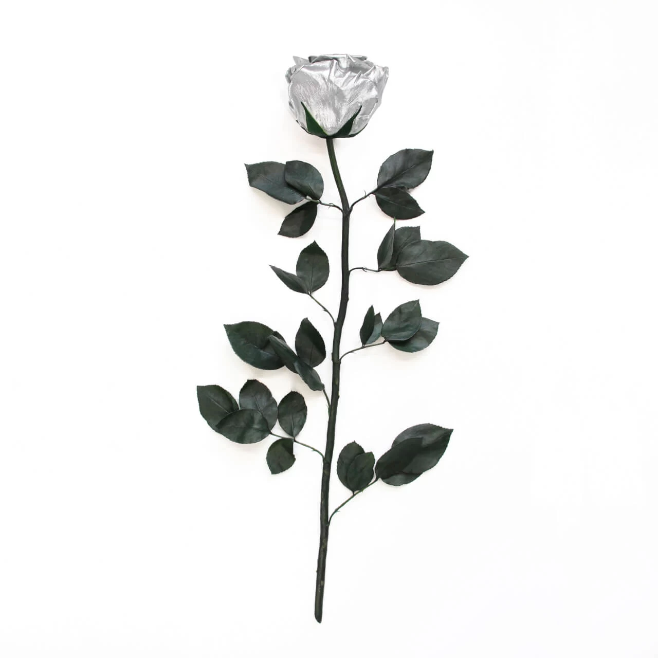 Long Stem Infinity Rose | Silver | 5 Roses 4 Long Stem Infinity Rose | Silver | 5 Roses – Bild 2