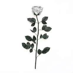 Long Stem Infinity Rose | Silver | 1 Rose -Emmie Gray Store Silber ohne Karton 1280x1280