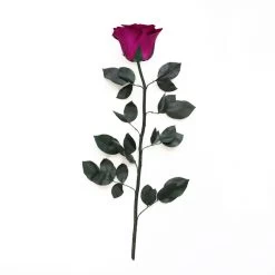 Classic Vase Set | Velvet Plum | 15 ROSES -Emmie Gray Store VelvetPlum ohnekarton 1280x1280 3