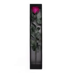 Long Stem Infinity Rose | Velvet Plum | 1 Rose -Emmie Gray Store Velvetplum karton offen a neu 1280x1280 1