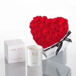 Vibrant Love Set 2.0