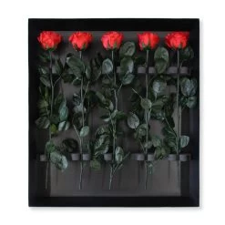 Long Stem Infinity Rose | Vibrant Red | 5 Roses -Emmie Gray Store Vibrantred grosser karton offen 1280x1280 3