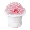 Splendid Hydrangea Infinity Rosebox | Bridal Pink | XS -Emmie Gray Store XMRR Infinity Hydrogenia BridalPink 1280x1280 1