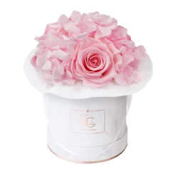 Splendid Hydrangea Infinity Rosebox | Bridal Pink | XS